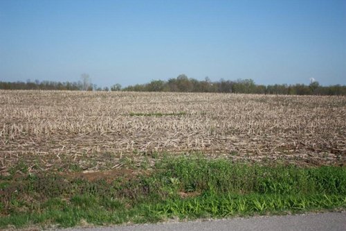 Property photo 6 - 641 Acres Offered in 16 Tracts - 545 Cropland Acres